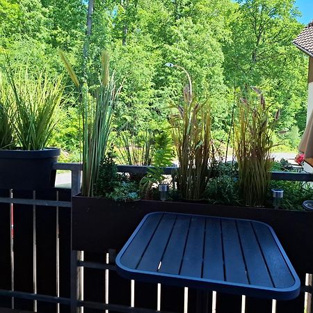 Ferienwohnung Waldzauber Bad Sachsa Exterior foto
